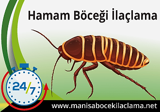 Hamam Böceği İlaçlama