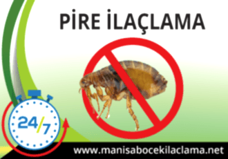Pire İlaçlama