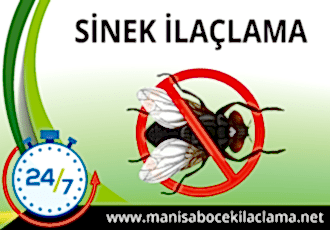 Sinek İlaçlama