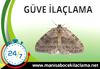 Güve İlaçlama