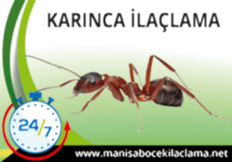 Karınca İlaçlama