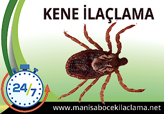 Kene İlaçlama