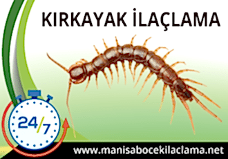 Kırkayak İlaçlama