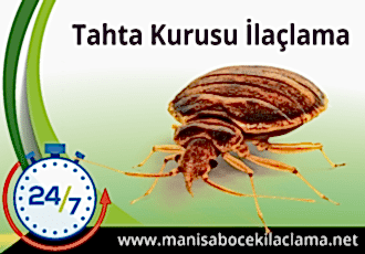 Tahta Kurusu İlaçlama